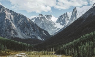 揭秘糖心vlog新官方入口的神经点：让你一夜之间讨论全变了味